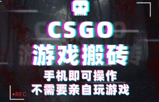 CSGO游戏挂G捡漏，单日扫货5张+，年底小高峰上车可吃肉，手机即可操作，兼职副业创业网创【揭秘】-吾爱创业网