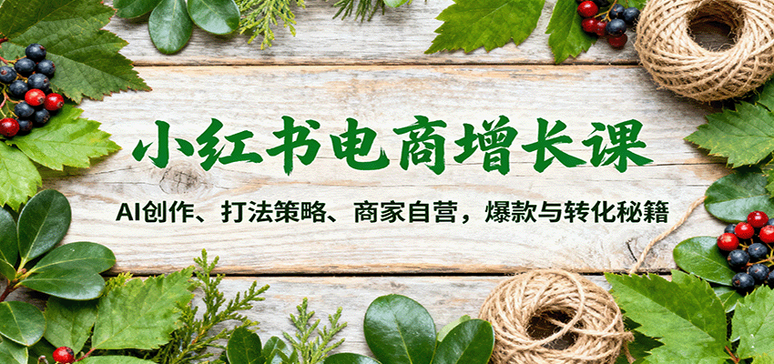 小红书电商增长课:AI创作、打法策略、商家自营,爆款与转化秘籍-吾爱创业网