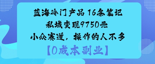 蓝海冷门产品:16条笔记私域变现9750米小众赛道,操作的人不多-吾爱创业网