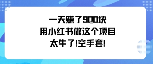 一天挣了9张用小红书做这个项目太牛了，空手套-吾爱创业网