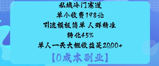 私域冷门赛道:单个收费198米引流模板简单人群精准转化45%单人一天大概收益是1k+-吾爱创业网