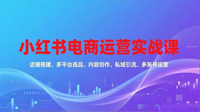 (16695期)小红书电商运营实战课,店铺搭建、多平台选品、内容创作、私域引流、多账号运营等玩法-吾爱创业网