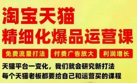 淘宝天猫精细化爆品运营课,免费流量打法-付费广告放大-利润增长-三大核心痛点,一次全部解决-吾爱创业网