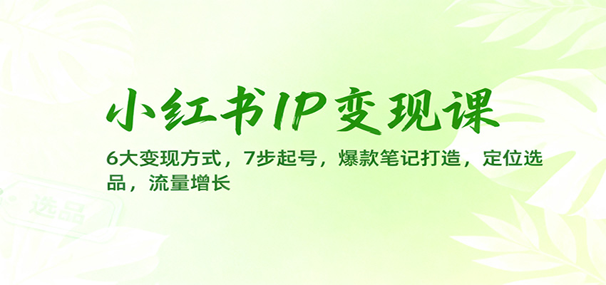 小红书IP变现课：6大变现方式，7步起号，爆款笔记打造，定位选品，流量增长-吾爱创业网