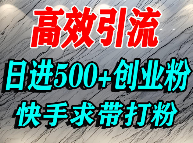 怎么打创业粉?快手求带视角精准引流创业粉,宝妈、学生群体日进500+精准流量-吾爱创业网