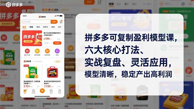 （16952期）拼多多可复制盈利模型课，六大核心打法、实战复盘、灵活应用，模型清晰，稳定产出高利润-吾爱创业网
