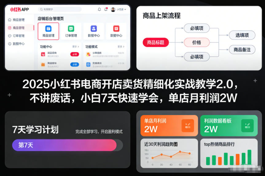 2025小红书电商开店卖货精细化实战教学2.0，不讲废话，小白7天快速学会，单店月利润2W-吾爱创业网