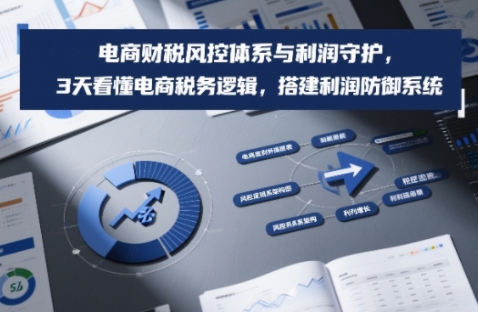 电商财税风控体系与利润守护，3天看懂电商税务逻辑，搭建利润防御系统-吾爱创业网