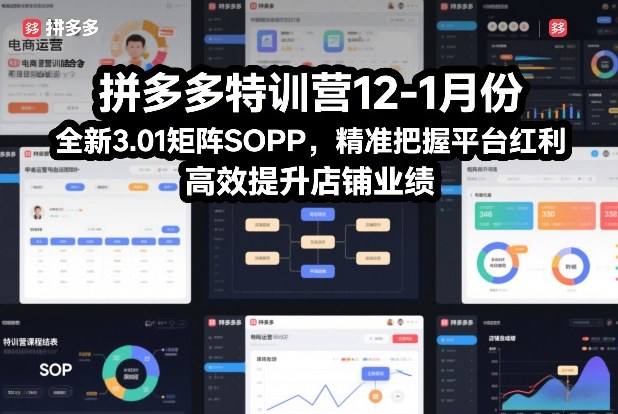 拼多多特训营12-1月份，全新3.01矩阵Sop，精准把握平台红利，高效提升店铺业绩-吾爱创业网