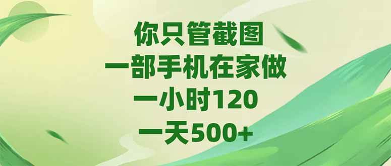 （15039期）你只管截图，一部手机在家做，一小时120，-天500+-吾爱创业网