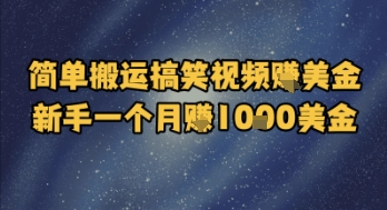 简单搬运搞笑视频挣美金，新手一个月入1k美金-吾爱创业网