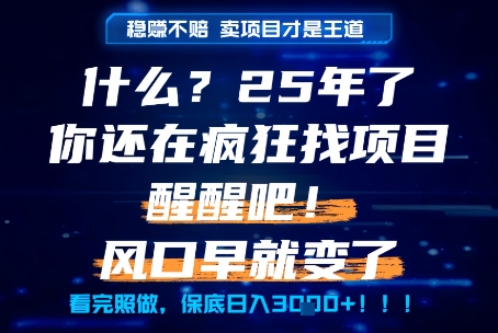 什么？25年你还在疯狂找项目做，醒醒吧，看完这些你全都懂了！【揭秘】-吾爱创业网