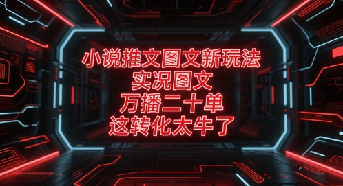 小说推文图文新玩法，实况图文，万播二十单，这转化太牛了！-吾爱创业网