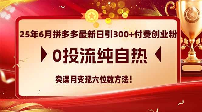（14989期）25年6月拼多多最新日引300+付费创业粉，0投流纯自热 卖课月变现六位数方法-吾爱创业网