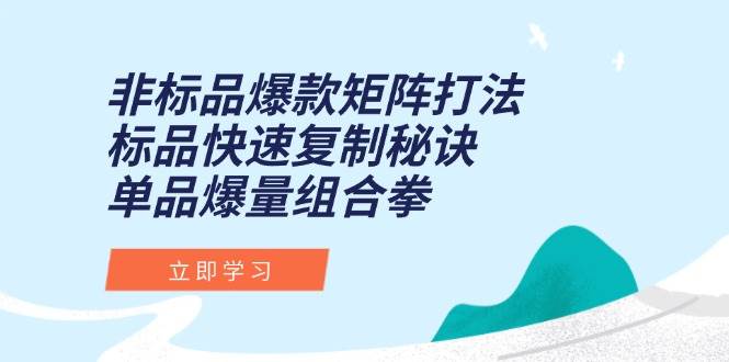 （15068期）非标品爆款矩阵打法，标品快速复制秘诀，单品爆量组合拳-吾爱创业网