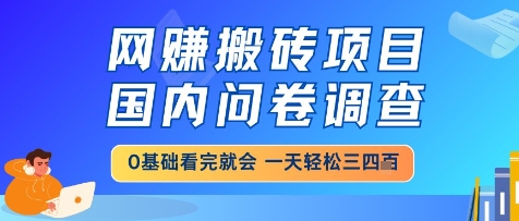 网创搬砖项目，国内问卷调查，小白轻松上手，一天三四张的也不难，干就完了【揭秘】-吾爱创业网