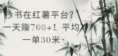 抄书在小红薯平台？平均一单30米，一天收益几张！-吾爱创业网