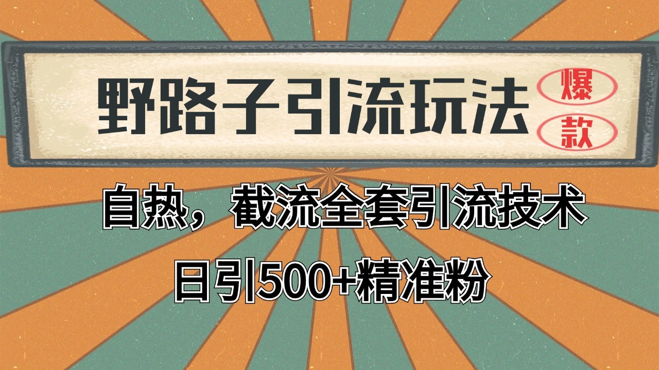 2024首发野路子引流玩法截流自热全平台打法，全自动引流【日引2000+精准客户】-吾爱创业网