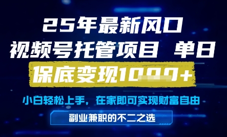 25年最新风口，视频号托管项目，单日保底变现1k+，手把手教学【揭秘】-吾爱创业网