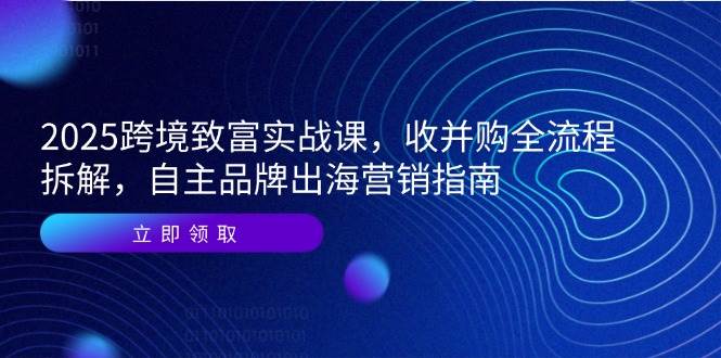 （14975期）2025跨境致富实战课，收并购全流程拆解，自主品牌出海营销指南-吾爱创业网