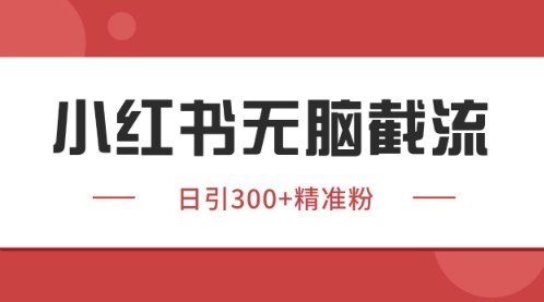 小红书只要你有同行就能获客，独家野路子获客玩法，暴力截流【揭秘】-吾爱创业网