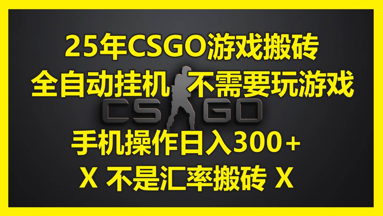 （14902期）25年CSGO游戏搬砖，全自动挂机，不需要玩游戏，手机操作日入300+。(不…-吾爱创业网