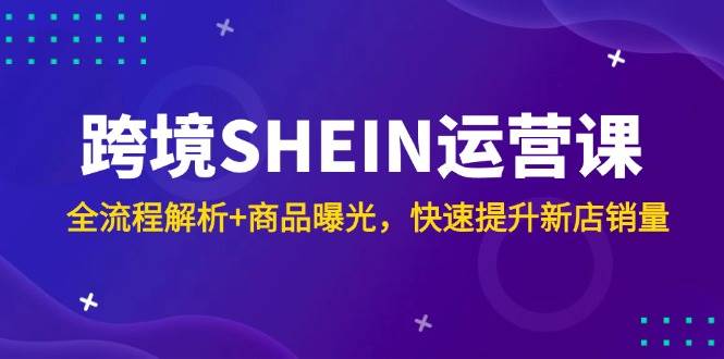 （14832期）跨境SHEIN运营课，全流程解析+商品曝光，快速提升新店销量-吾爱创业网