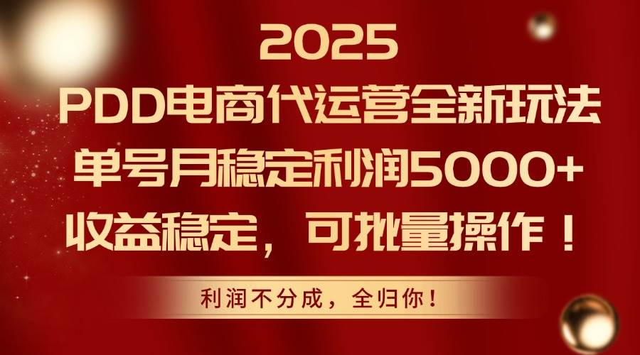 （14839期）2025PDD电商代运营全新玩法，单号月稳定利润5000+，收益稳定，可批量操作-吾爱创业网